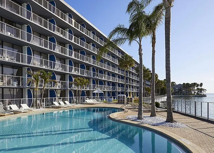 Discover the Top Family-Friendly Accommodations in Tampa