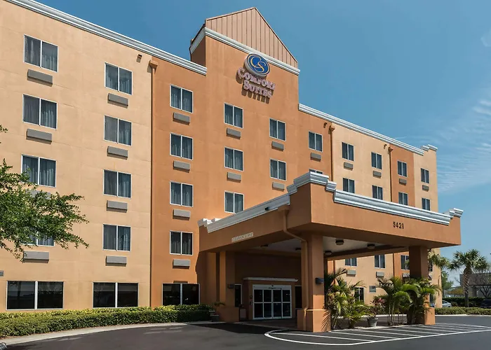 Top Affordable Options for Hotels near Tampa Airport with Shuttle Service
